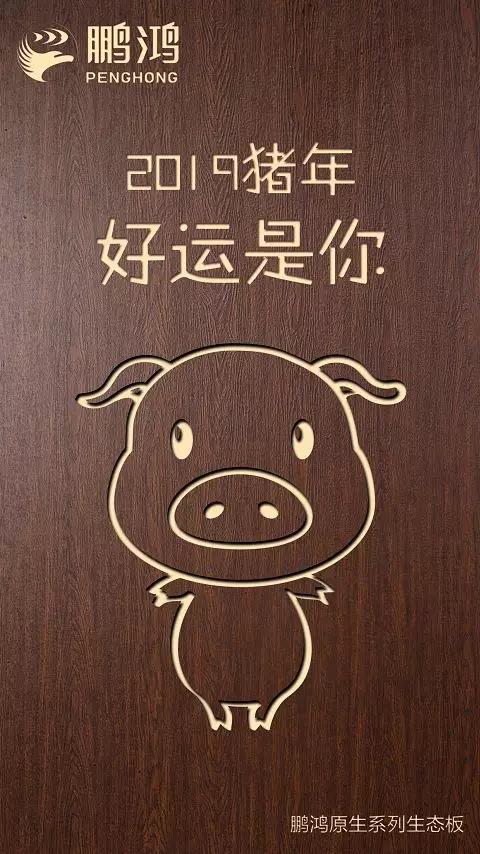 壹号娱乐原生系列生态板