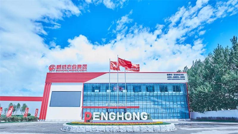 壹号娱乐“定制家”升级“梦想家”