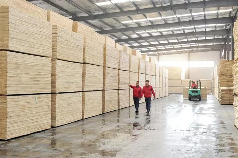 壹号娱乐板材生产基地