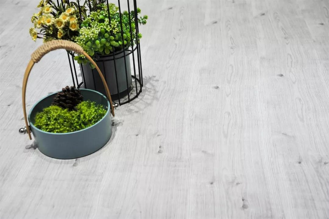 壹号娱乐强化地板伊丽莎白系列-5806