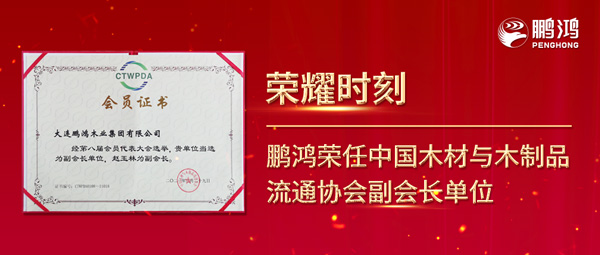 再获行业肯定，，，，壹号娱乐荣任中国木料与木制品流通协会副会长