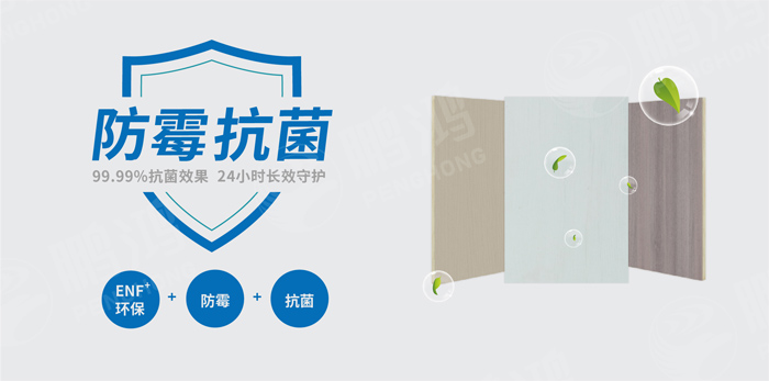 抗菌防霉木质装饰板行业标准钻研事情会圆满召开