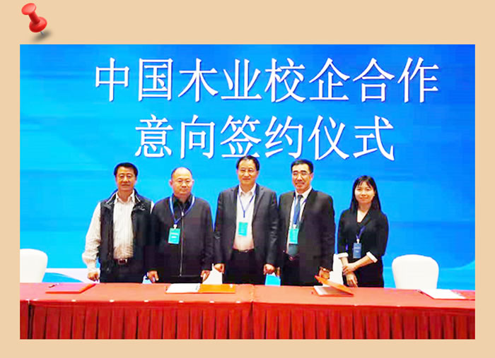 壹号娱乐与中国木业相助
