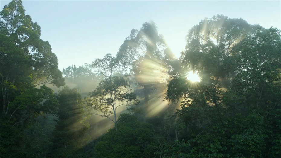 壹号娱乐 - NG大舞台,有梦你就来